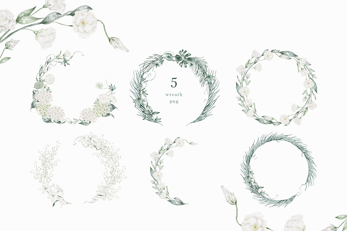 White flowers and tropical leaves, an Illustration by astelenadesign (Photo 8 of 14)