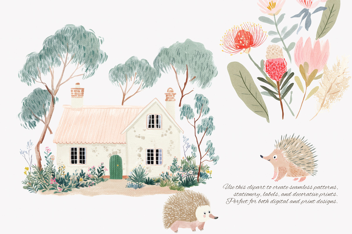 australian animals watercolor clipar, a Decorative Illustration by Patishop Art (Photo 3 of 6)