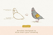 Procreate Bird Drawing Toolkit, a Brush Add-On by Lisa Glanz (Thumbnail 3 of 13)