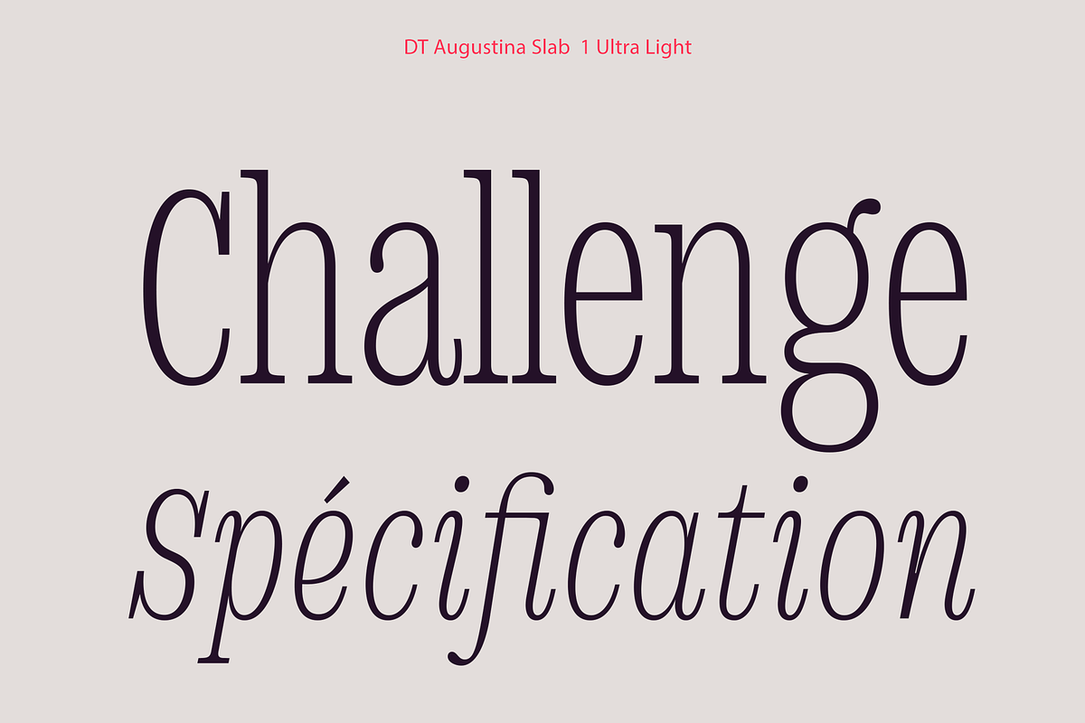 DT Augustina Slab 1 Subfamily, a Slab Serif Font by Deveze Type Foundry (Photo 3 of 31)