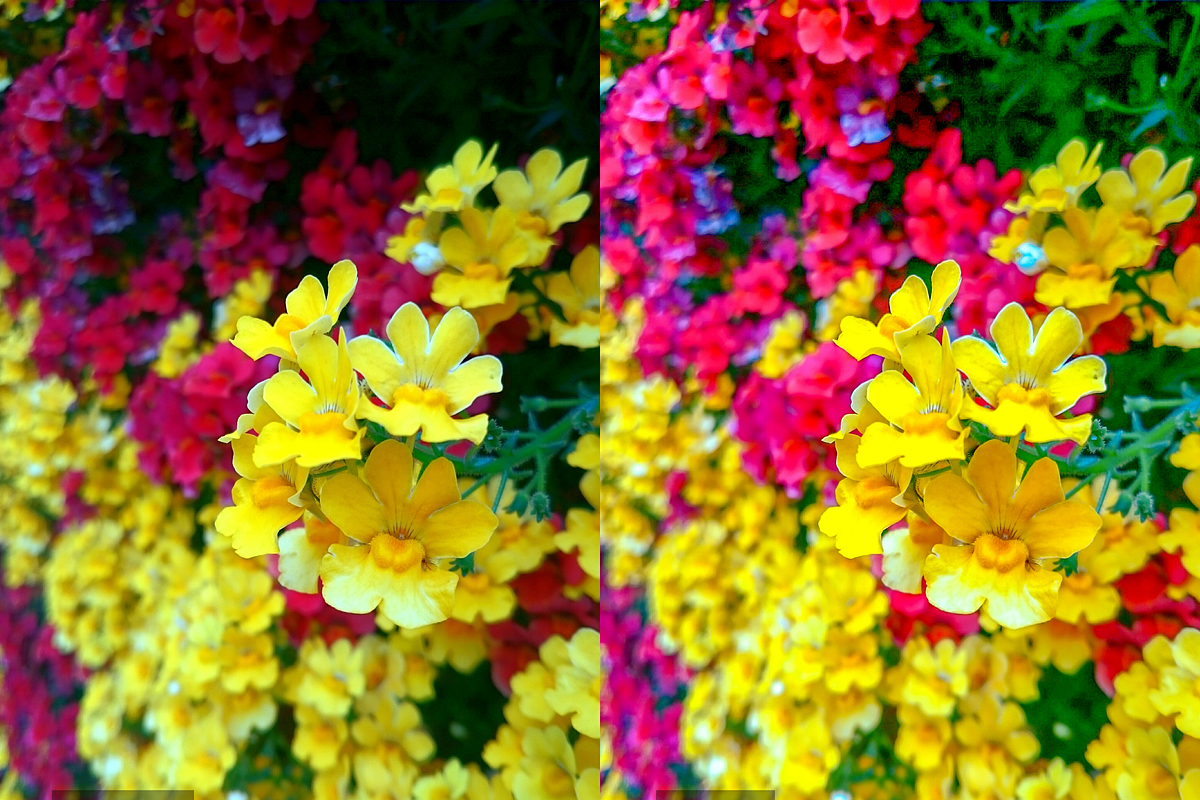 12 Vibrant Spring Lightroom Presets, a Preset Add-On by RamsaGraphi (Photo 6 of 10)
