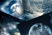 Christmas at the end of the World, a Background Graphic by Curve Design (Thumbnail 4 of 4)