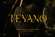 Tevano || Modern Unique Serif Font, a Serif Font by Ermedia Studio (Thumbnail 1 of 10)