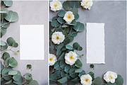 Eucalyptus Floral Mockup Bundle, a Social Media Template by LaPorte Images (Thumbnail 7 of 14)