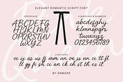 Pink Queen | Elegant Romantic Script, a Script Font by AnMark (Thumbnail 11 of 13)