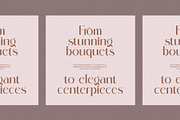 Voglire Elegant Sans Serif Font, a Sans Serif Font by Perfectype (Thumbnail 5 of 8)