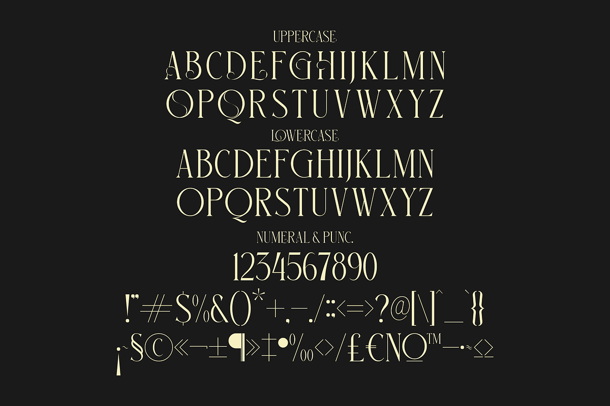 Glorious Serif Display Font, a Sans Serif Font by Storytype Studio (Photo 13 of 15)