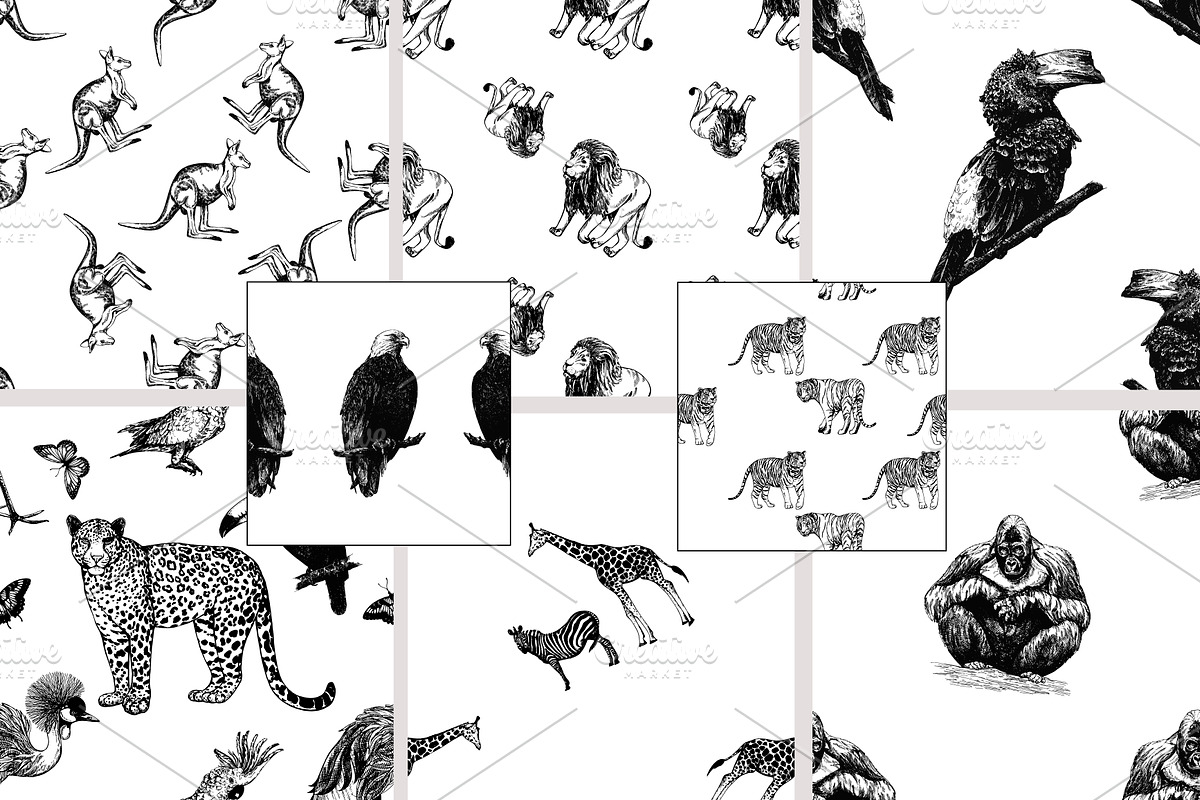 Animals, an Animal Illustration by Ecaterina Sciuchina (Photo 5 of 5)