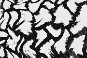 Scales and Fur, a Texture Graphic by Jennifer Lauren Creative (Thumbnail 10 of 26)