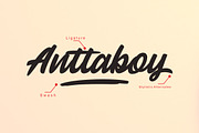 Thunder, a Script Font by Allmostudio (Thumbnail 5 of 8)