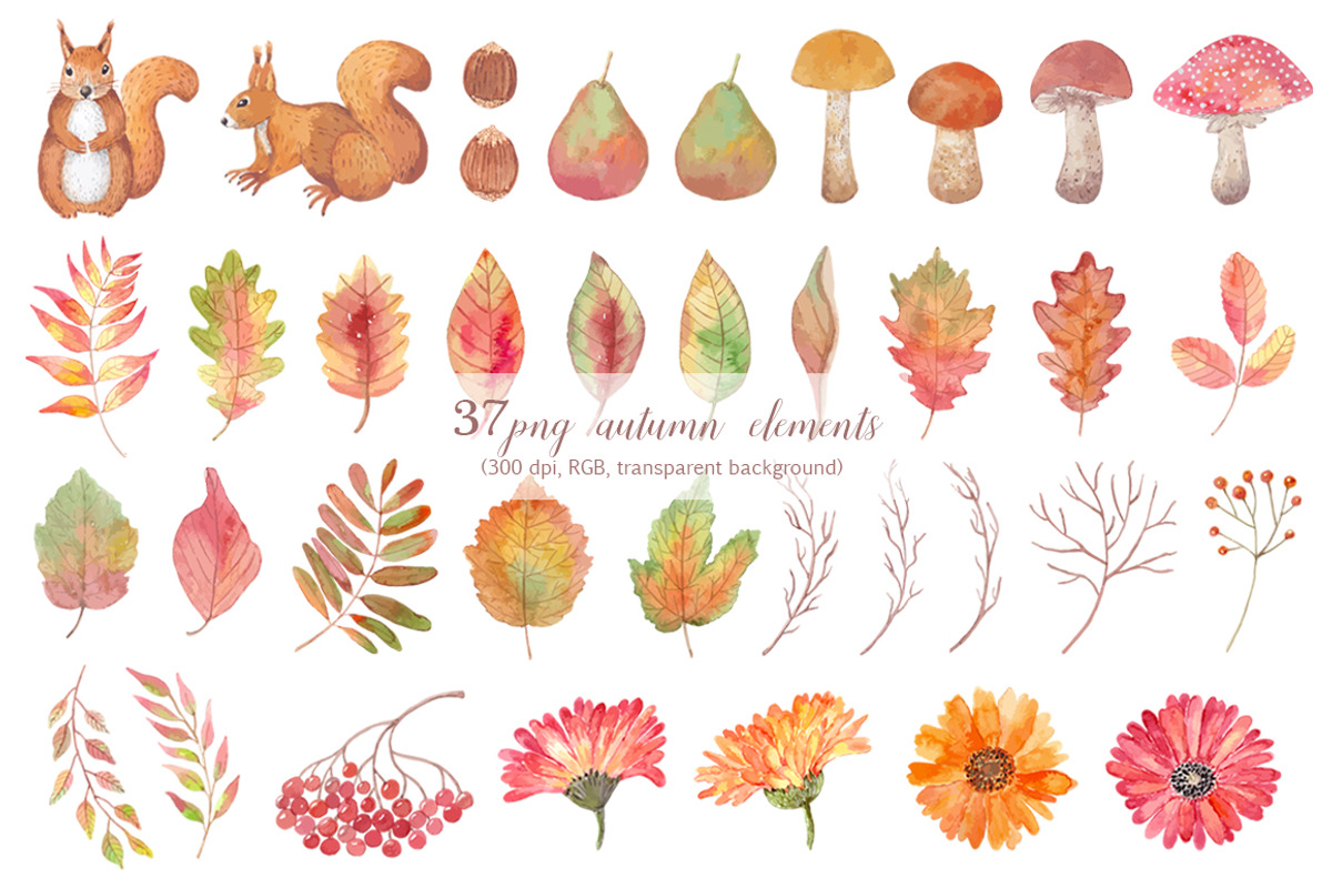Autumn collection elements, an Illustration by BrushArtDesigns (Photo 2 of 3)
