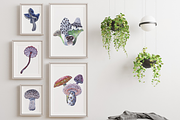 Watercolor and gouache Mushrooms, an Illustration by MariaOrtegaDigitals (Thumbnail 4 of 6)