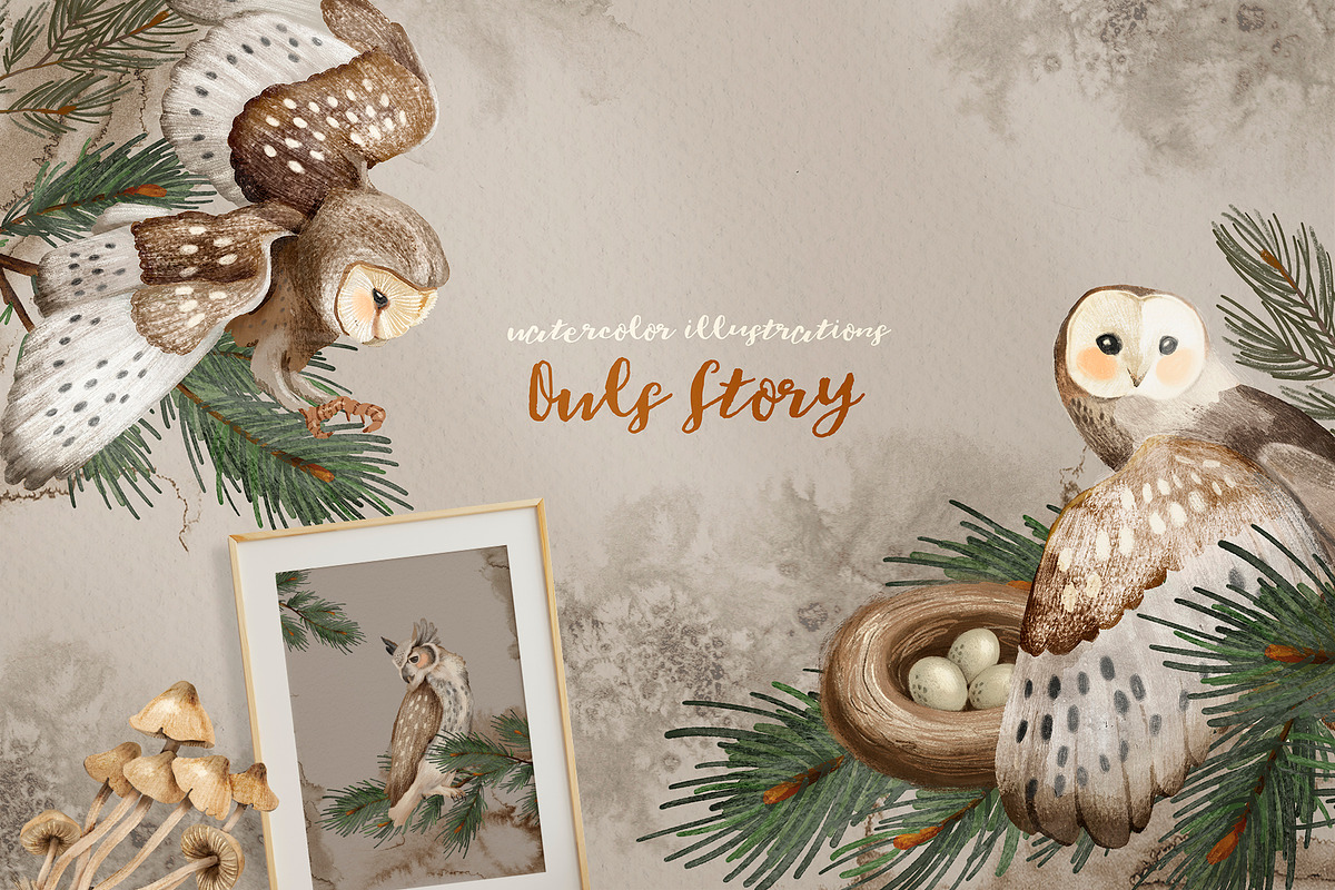 Owls Story watercolor forest clipart, an Animal Illustration by Alamella (Photo 11 of 12)
