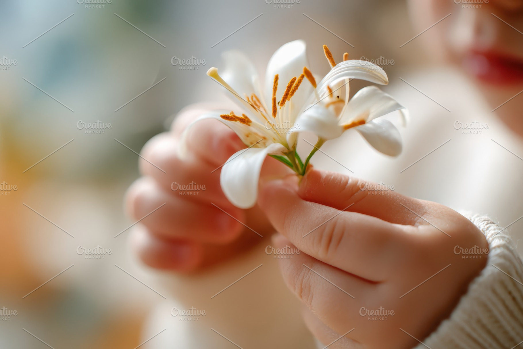 Child holding white lily, a Nature Photo by AlyaAnd