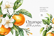 Orange Blossom - Watercolor Set, a Decorative Illustration by ThaismotaCreativeCo (Thumbnail 1 of 9)
