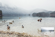 Million of Blue- 15 presets for Lr, an Action Add-On by Graphics, Presets, Photos (Thumbnail 13 of 16)