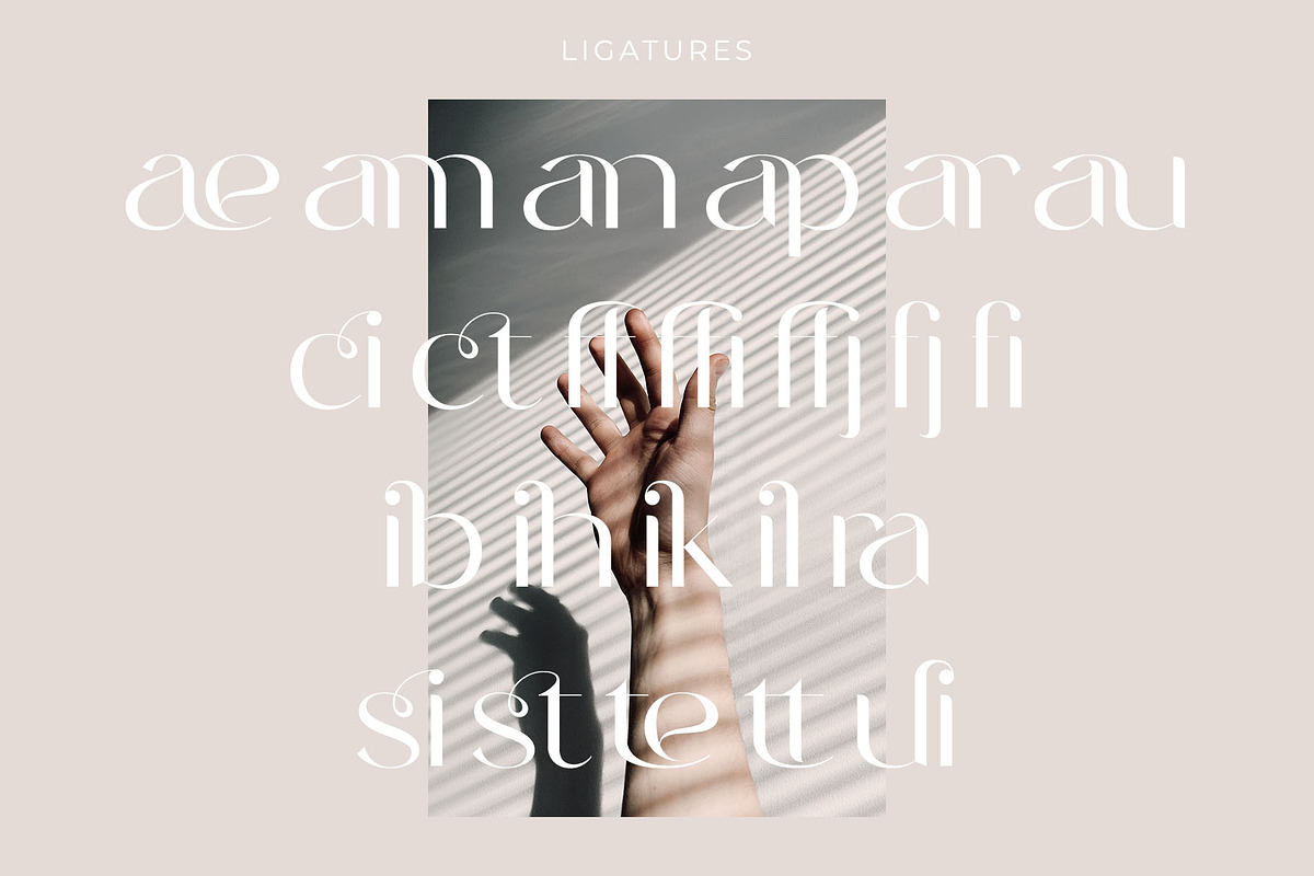 Rantera - Display Ligature Sans, a Sans Serif Font by epicatype (Photo 11 of 11)
