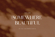 Oliva Serif Font, a Serif Font by Salt & Pepper Designs (Thumbnail 6 of 10)