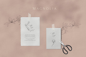 Magnolia Fine Line Clipart