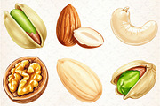 Nuts Watercolor Clipart, an Illustration by Libby Wishes (Thumbnail 6 of 6)