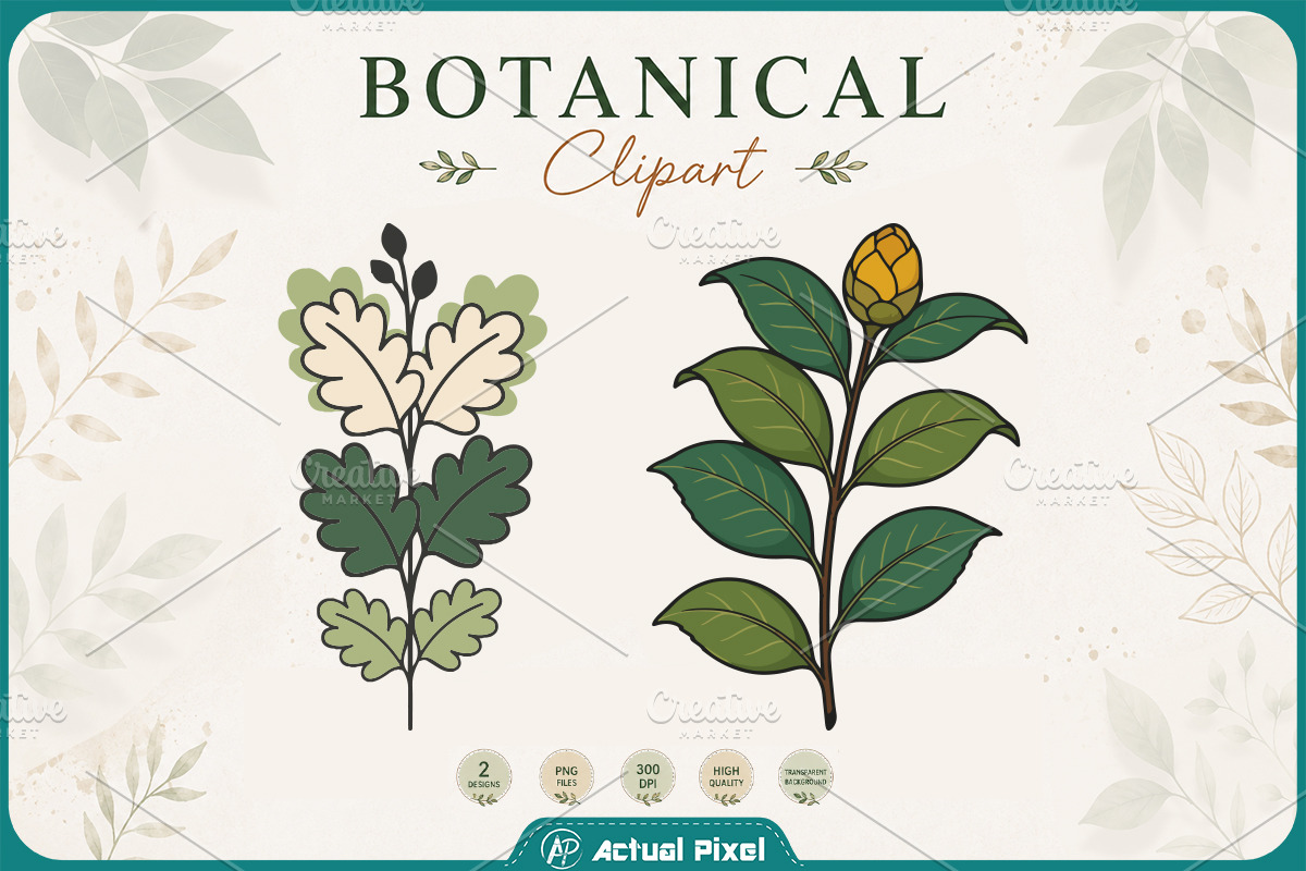 Boho Botanical Leaves Clipart Bundle, a Nature Photo by Actual Pixel (Photo 9 of 21)