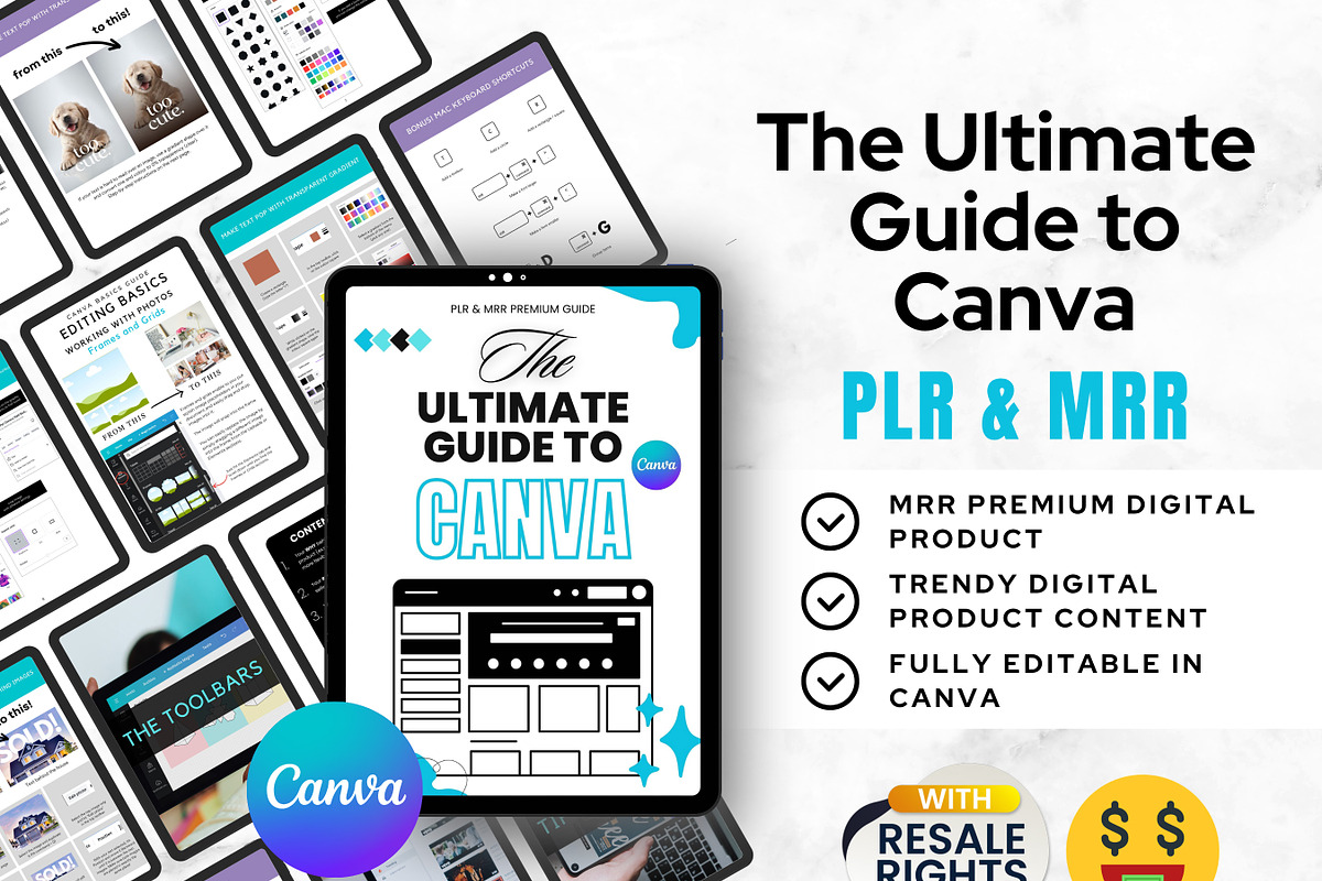 The Ultimate Guide to Canva
