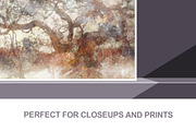 Square Posters Mockup, a Print Template by Epic By Design (Thumbnail 6 of 6)