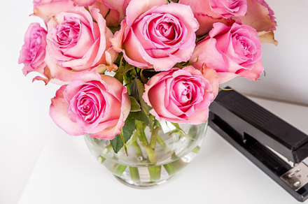 Pink roses desktop office photo, a Background Photo by Marigold Stock