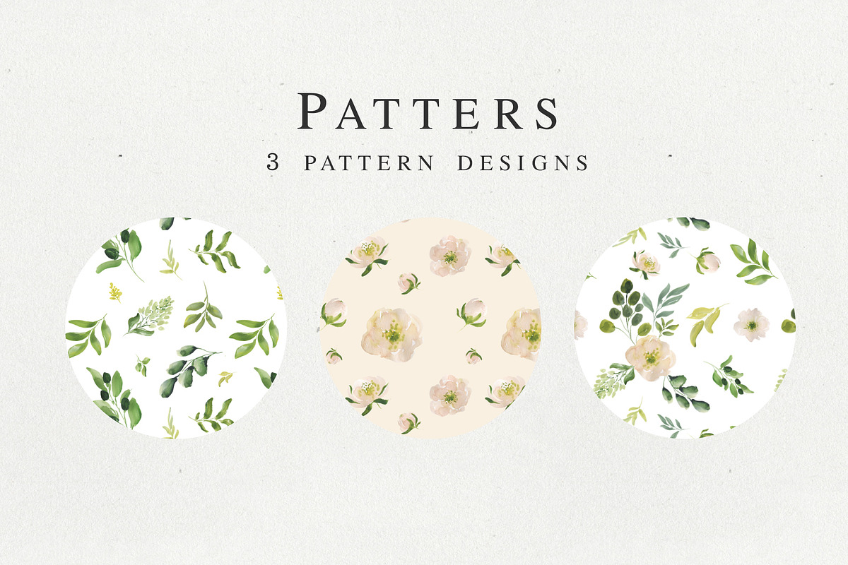 Magdalena watercolor floral set, a Texture Illustration by Charushella (Photo 7 of 8)