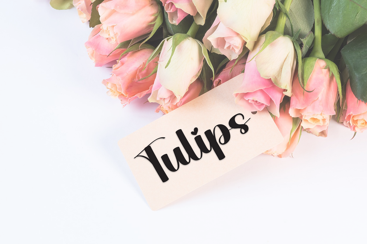Happy Graduation | Script Font, a Handwritten Font by Scratchones (Photo 3 of 8)