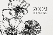 Vector Animals & Summer Flowers Set, a Seasonal Illustration by Yevheniia (Thumbnail 6 of 14)