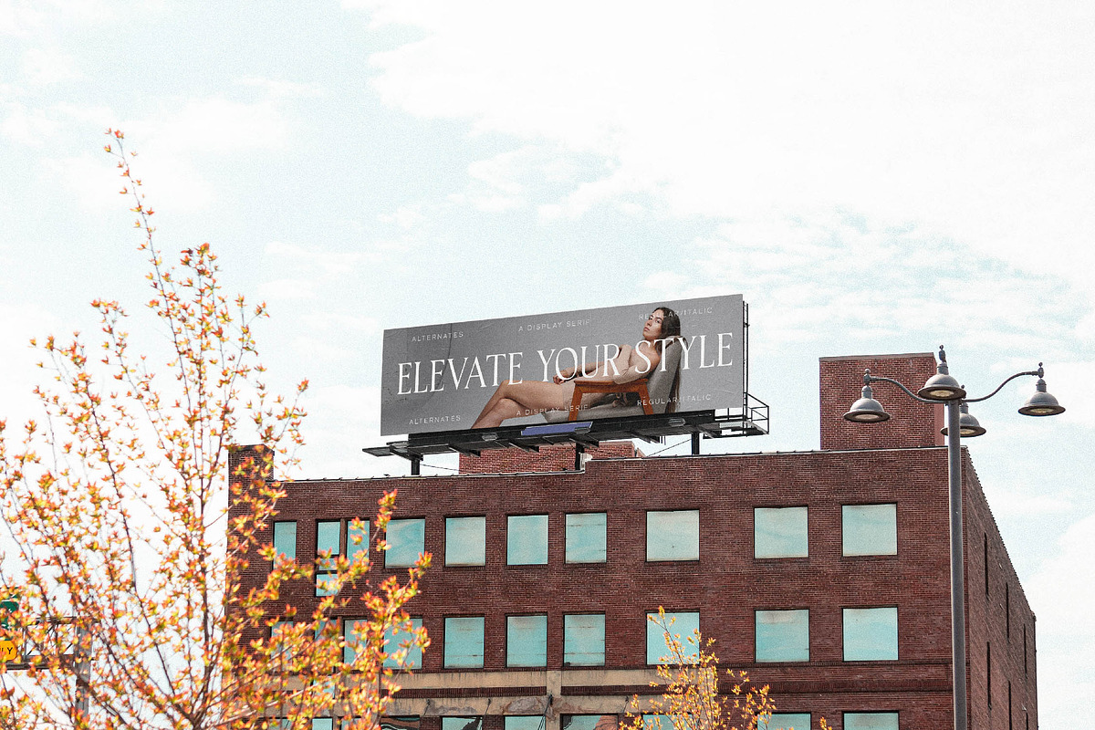Horge A Display Serif Font, a Serif Font by Storytype Studio (Photo 8 of 16)