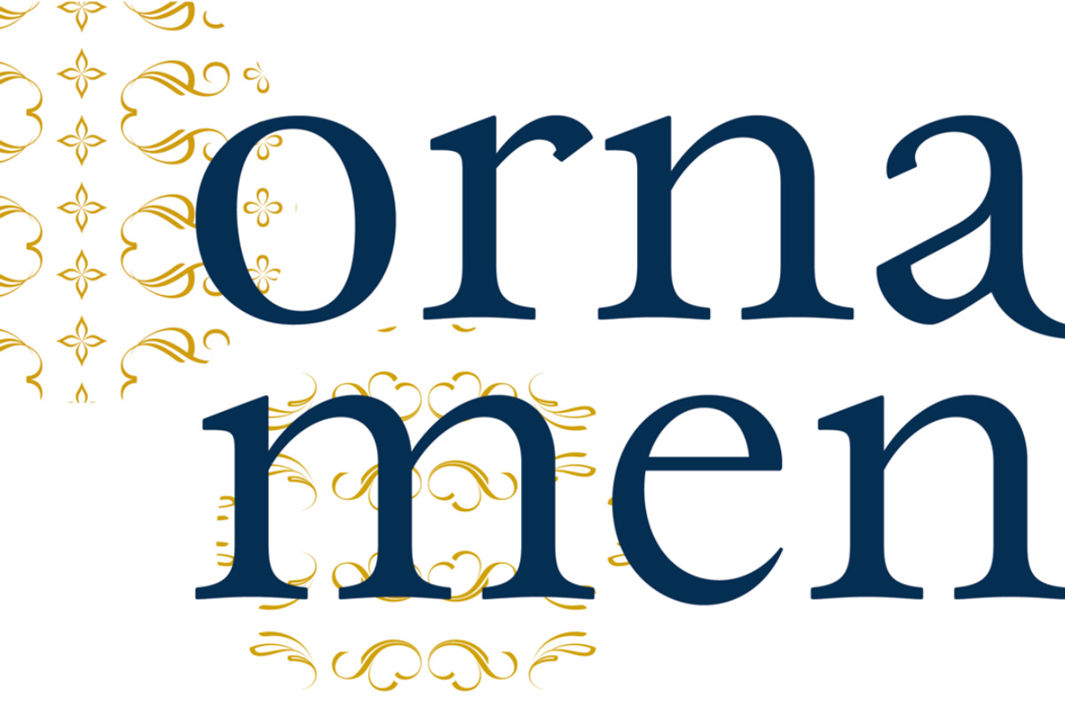 Paciencia, a Serif Font by typographias (Photo 9 of 11)