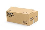 Cardboard Box with Tape Mockup, a Packaging Mockup by RamStudio2 (Thumbnail 8 of 16)