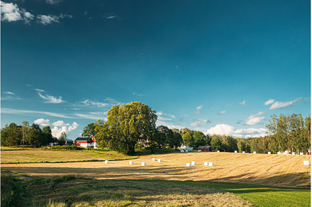 Swedish Rural Landscape Field Meadow, a Nature Photo by Our Amazing World