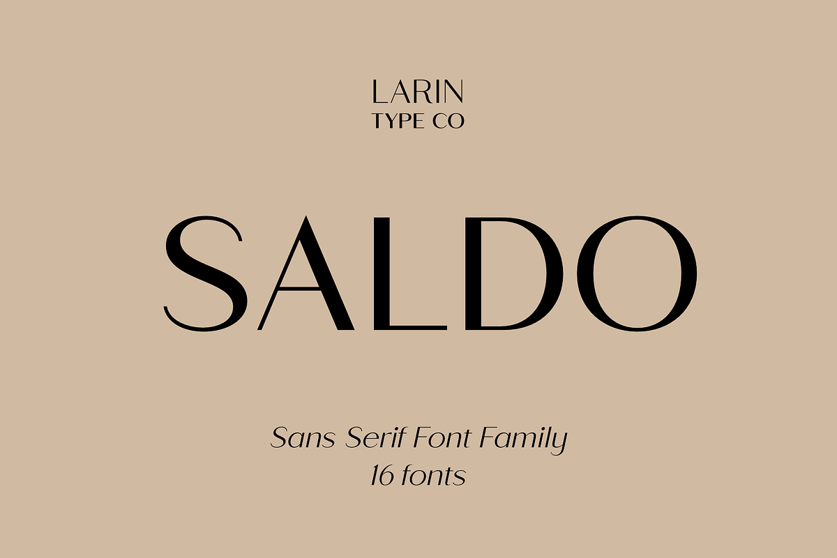 Saldo | Font Family, a Sans Serif Font by Larin Type Co. (Photo 1 of 15)