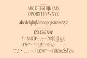 Royaltens Modern Serif Font, a Serif Font by Letterena Studios (Thumbnail 13 of 15)
