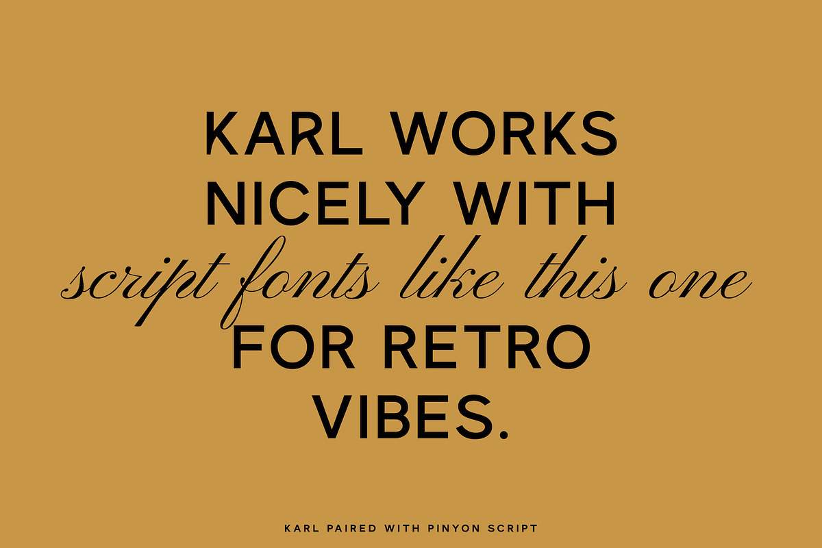 Karl – Cool Sans w Unique Alternates, a Sans Serif Font by Local Desk Designstudio (Photo 17 of 28)