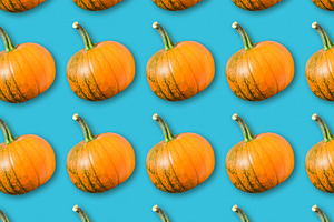 Orange pumpkins food pattern, a Food & Drink Photo by BOOCYS