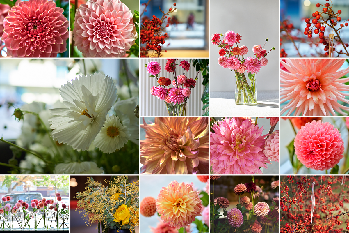 350 Photo Flower Arrangements, a Nature Photo by PopotLane (Photo 2 of 8)