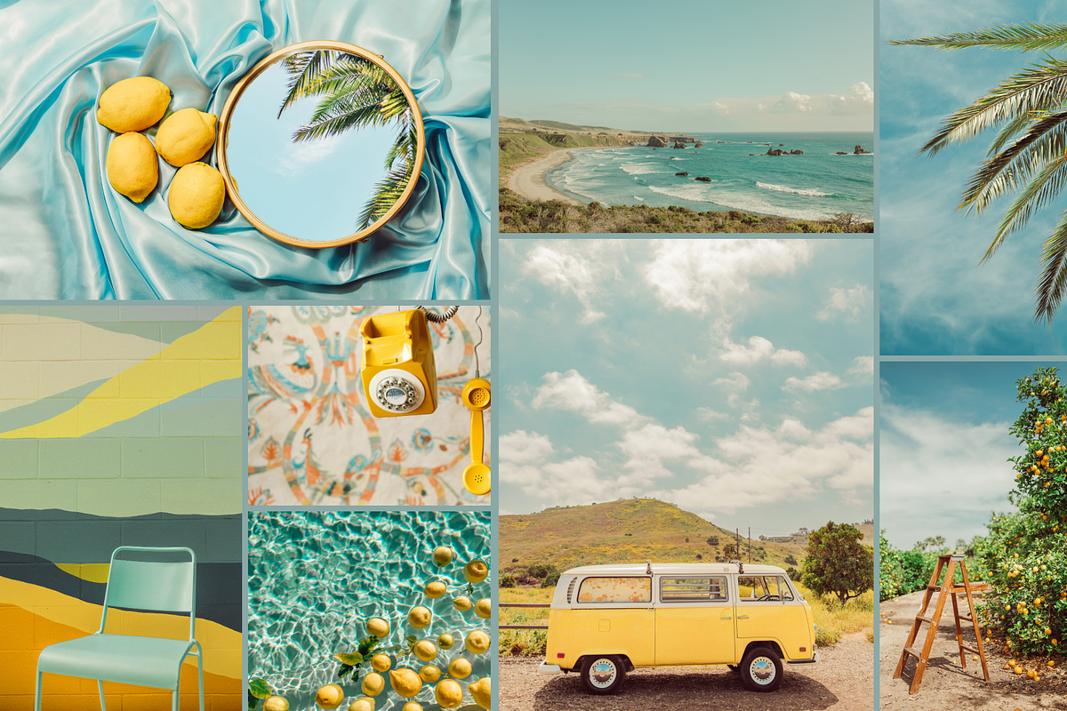 Summer Blues Yellow Pop, a Nature Photo by Munopia (Photo 1 of 6)
