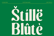 CS Susan Drawn, a Serif Font by Craft Supply Co. (Thumbnail 7 of 8)