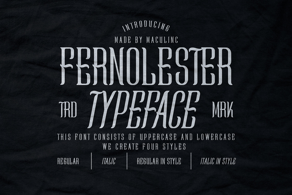 Fernolester - Retro Font, a Serif Font by Maculinc Type (Photo 1 of 12)