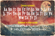 Homeworld Vintage Label Font, a Serif Font by JumboDesign (Thumbnail 2 of 6)