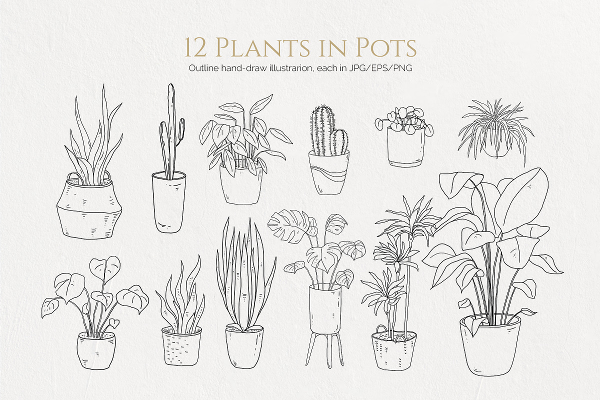 House Plants. Vector illustrations, a Decorative Illustration by iri-illustration (Photo 4 of 9)