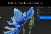 Meconopsis flowers Seamless Pattern, a Pattern Graphic by Yana Dobrik (Thumbnail 10 of 11)