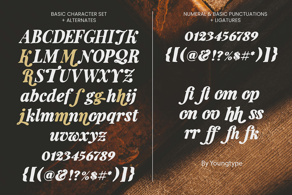 Mahogan Kondang, a Serif Font by Youngtype.Std (Photo 10 of 10)