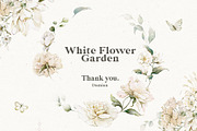 Watercolor White Flowers Collection, a Decorative Illustration by Damian Roh (Thumbnail 16 of 16)