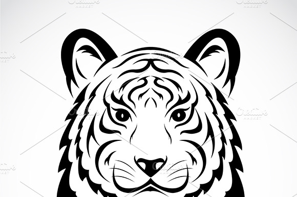 Tiger Head