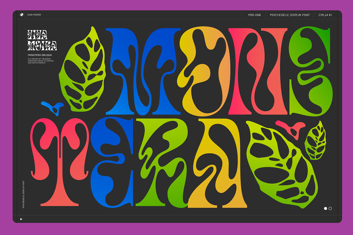 Viva Moira - Display font, a Serif Font by creativemedialab (Photo 4 of 10)